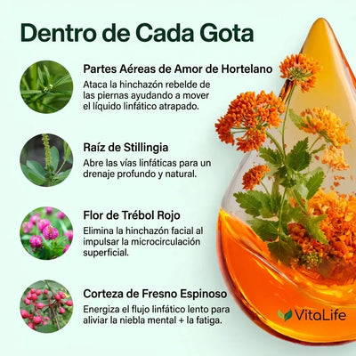 VitaLife®  Gotas de Drenaje Linfático