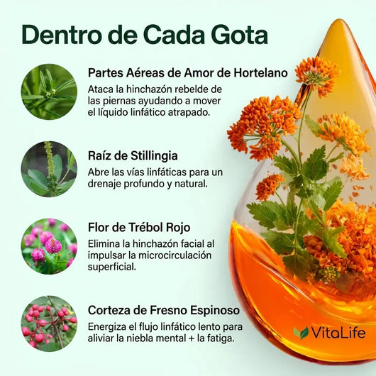VitaLife®  Gotas de Drenaje Linfático